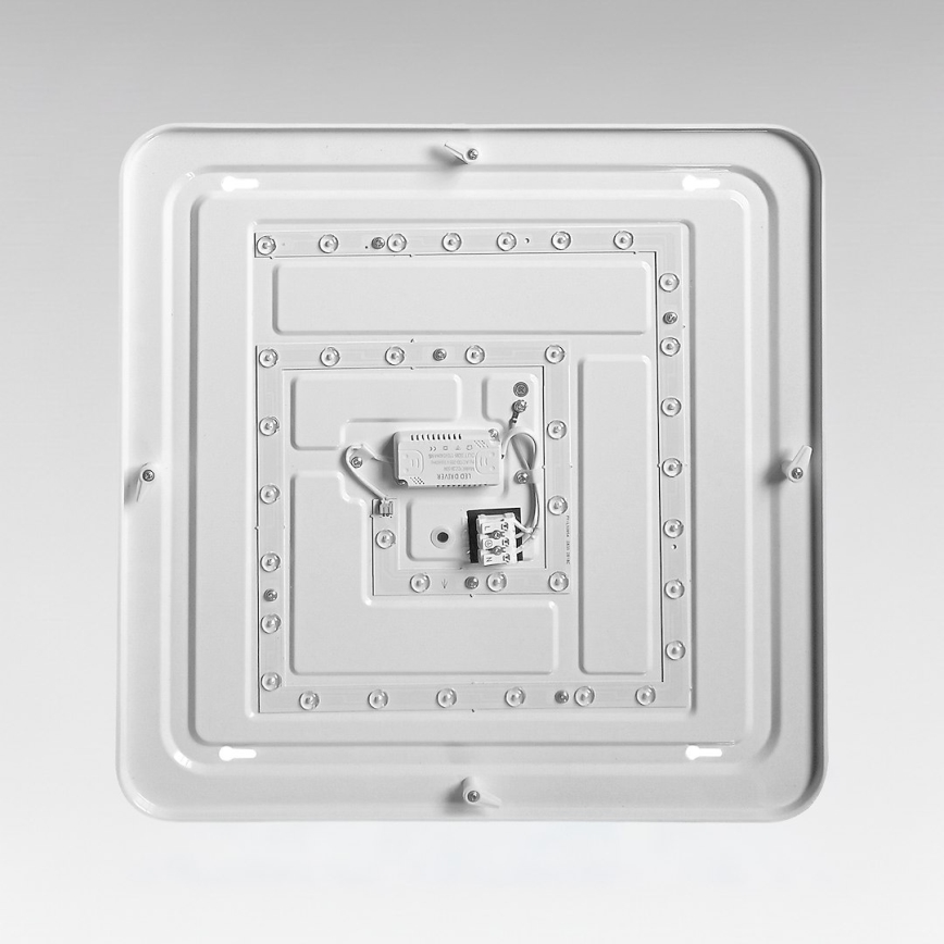 LED plafondlamp NEMO LED/36W/230V 50x50 cm glanzend chroom