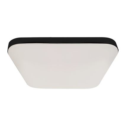 LED plafondlamp NEMO LED/36W/230V 50x50 cm zwart