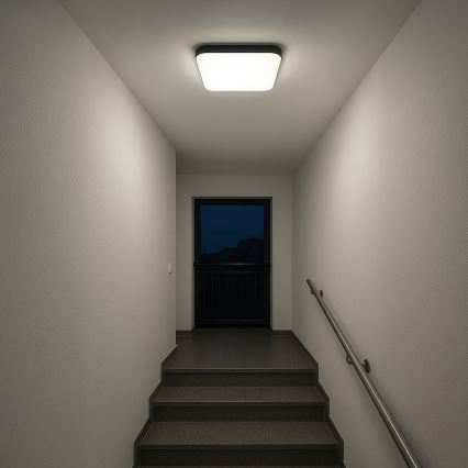 LED plafondlamp NEMO LED/36W/230V 50x50 cm zwart