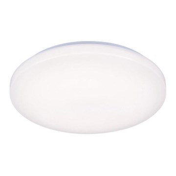 LED Plafondlamp OPAL LED/50W/176-264V