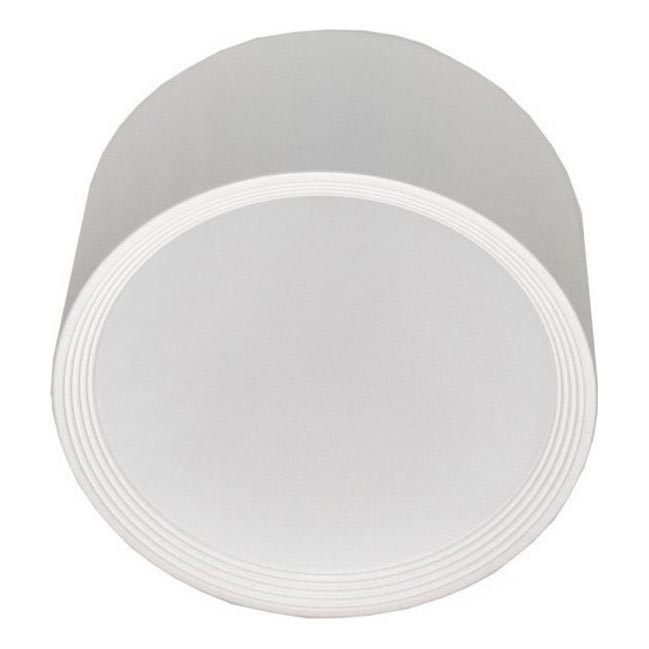 LED Plafondlamp PERCI LED/20W/230V IP40 4000K wit