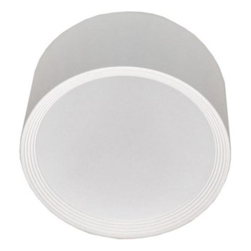 LED Plafondlamp PERCI LED/30W/230V IP40 4000K wit