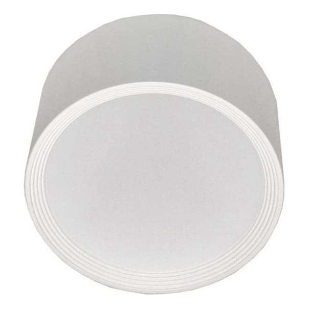 LED Plafondlamp PERCI LED/30W/230V IP40 4000K wit