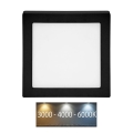 LED Plafondlamp RAFA LED/12W/230V 3000/4000/6000K 17x17 cm zwart
