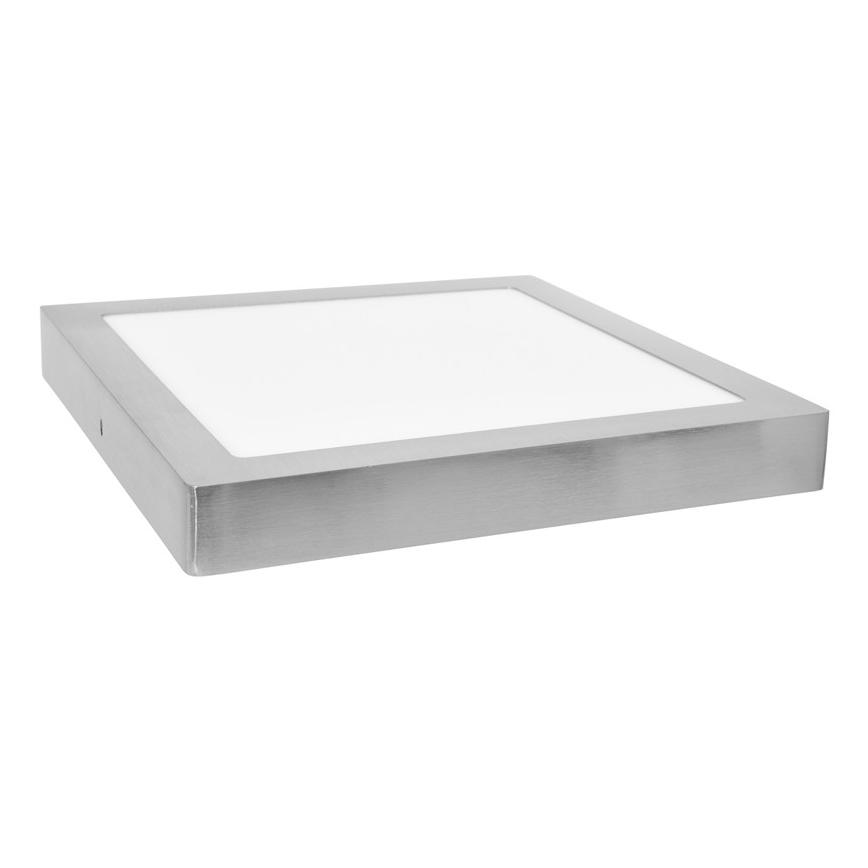 LED Plafondlamp RAFA LED/12W/230V 4100K