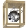 LED Plafondlamp ROY 1xGU10/5W/230V mat eiken