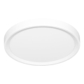 LED Plafondlamp SALY LED/50W/230V 3000/4000/6000K diameter 60 cm IP40 wit