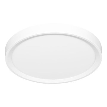 LED Plafondlamp SALY LED/50W/230V 3000/4000/6000K diameter 60 cm IP40 wit