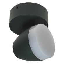LED Plafondlamp SURMUR LED/6W/230V groen