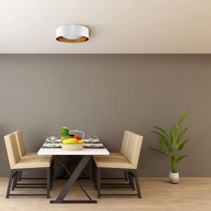 LED Plafondlamp TULUZA LED/24W/230V diameter 40 cm wit