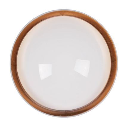 LED Plafondlamp TULUZA LED/24W/230V diameter 40 cm wit
