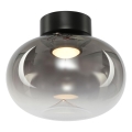 LED Plafondlamp VASO LED/4W/230V diameter 18 cm zwart/gerookt