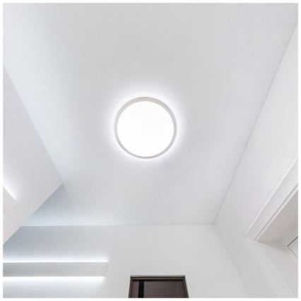 LED plafondlamp voor badkamer DEFENDER LED/12/18/24W/230V 3000/4000/6500K IP65 Ø 30 cm wit