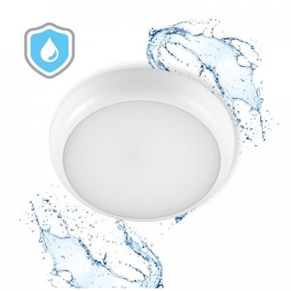 LED plafondlamp voor badkamer DEFENDER LED/12/18/24W/230V 3000/4000/6500K IP65 Ø 30 cm wit
