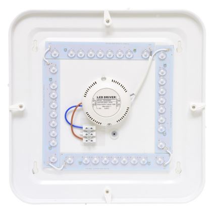 LED Plafondlamp voor buiten LUKA LED/42W/230V IP44