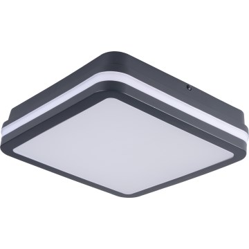 LED Plafondlamp voor buiten met bewegingssensor BENO LED/12/18W/230V 3000/3500/4000K IP65 antraciet hoekig