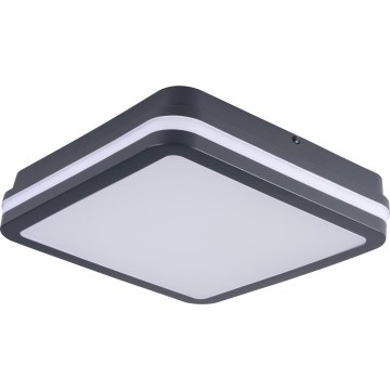 LED Plafondlamp voor buiten met bewegingssensor BENO LED/24/30W/230V 3000/3500/4000K IP65 antraciet hoekig