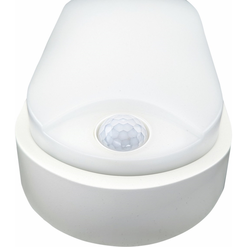 LED Plafondlamp voor buiten met sensor LED/14W/230V IP54 wit