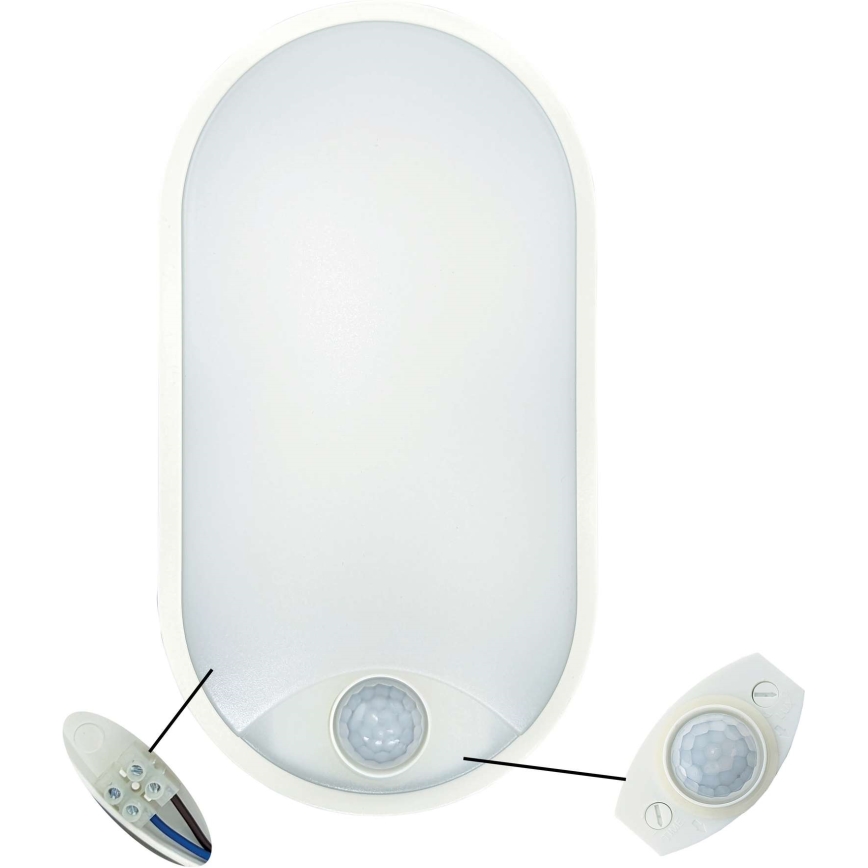 LED Plafondlamp voor buiten met sensor LED/14W/230V IP54 wit