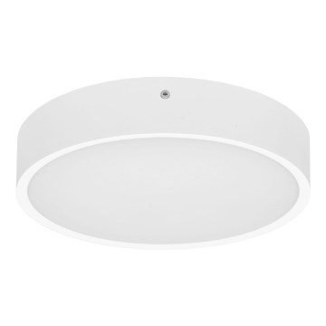 LED Plafondlamp voor buiten met sensor MARTIN LED/15W/230V 3000/4000K diameter 30 cm IP65 wit