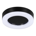 LED Plafondlamp voor buiten TURA LED/15W/230V 4000K IP65 zwart