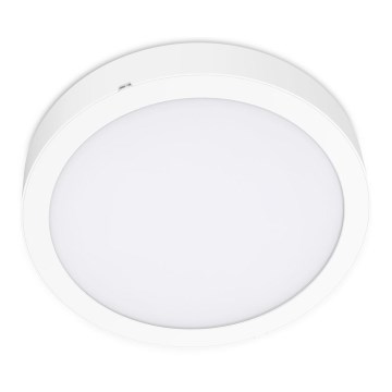 LED -plafondlicht SIGARO CIRKEL LED/24W/230V 4000K IP40