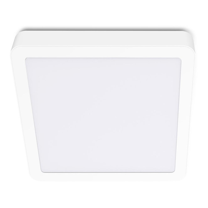 LED -plafondlicht SIGARO SQUARE LED/24W/230V 4000K IP40