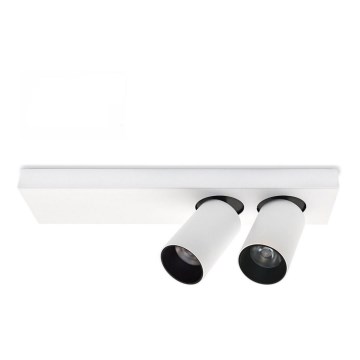 LED Plafondspot BERGEN 2xLED/11W/230V