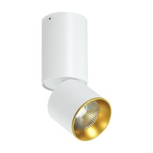 LED Plafondspot LED/10W/230V