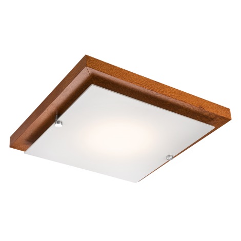 geschenk surfen Toepassing LED Plafondverlichting 1xLED/12W/230V | Lampenmanie