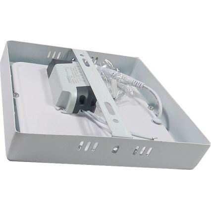 LED Plafondverlichting LED/12W/230V 3000K