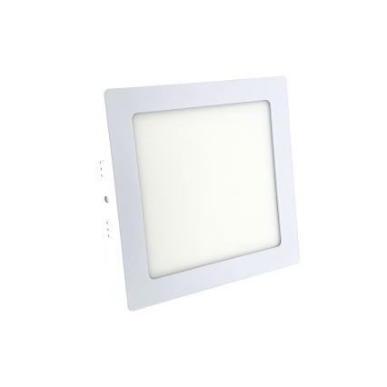 LED Plafondverlichting LED/12W/230V 6500K