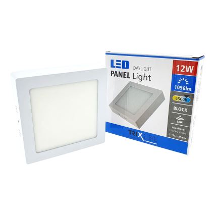 LED Plafondverlichting LED/12W/230V 6500K