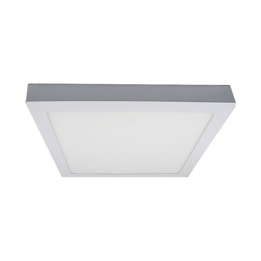 LED Plafondverlichting LED/24W/230V 3000K
