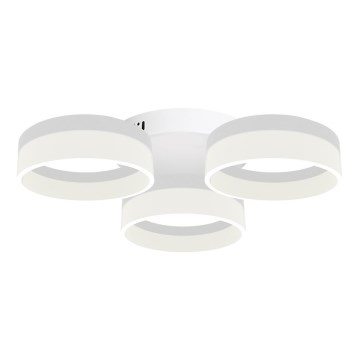 LED Plafondverlichting RING 3xLED/12W/230V wit