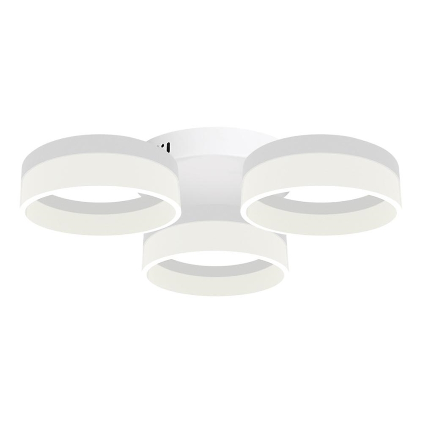 LED Plafondverlichting RING 3xLED/12W/230V wit