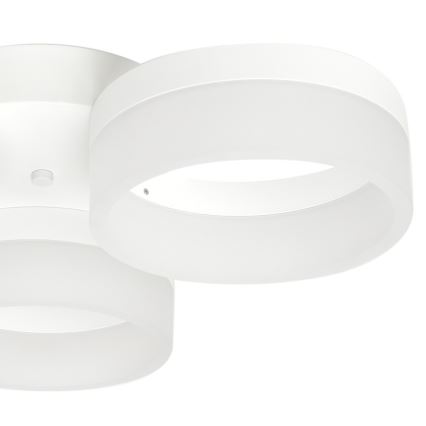 LED Plafondverlichting RING 3xLED/12W/230V wit