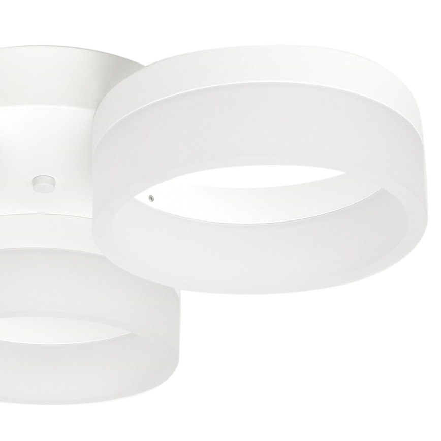 LED Plafondverlichting RING 3xLED/12W/230V wit