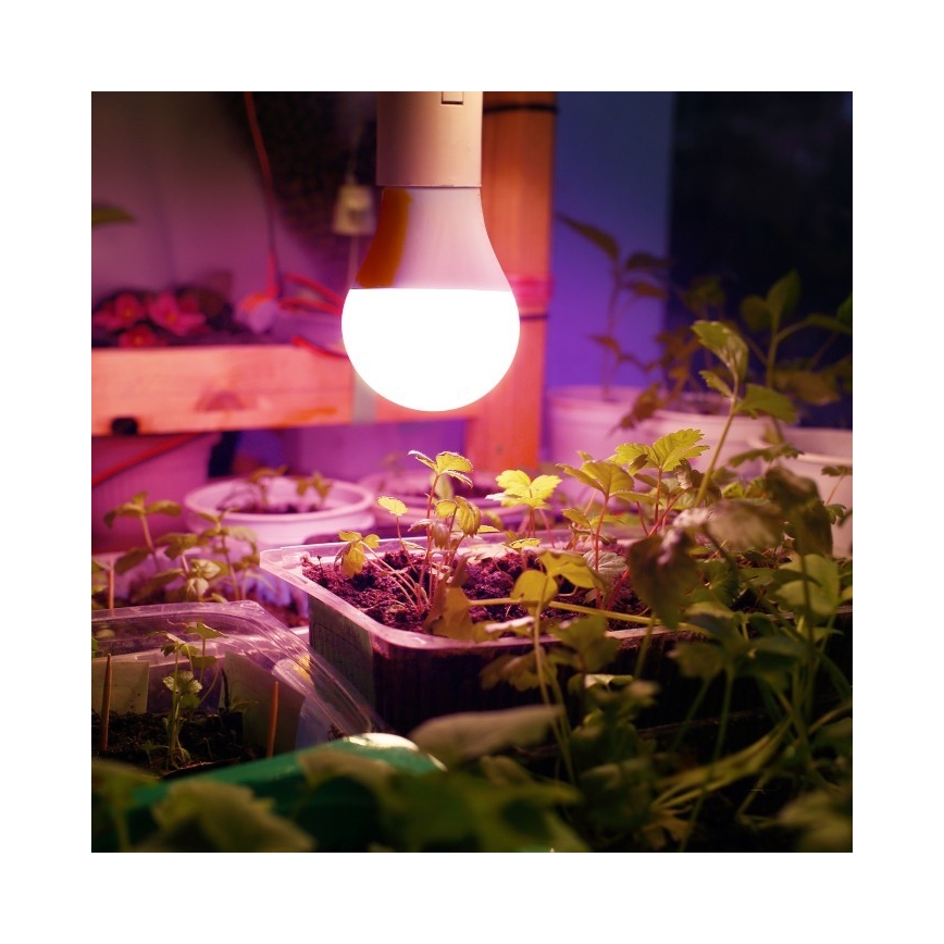 LED Plantengroeilamp PLANTY E27/11W/230V 1200K wit
