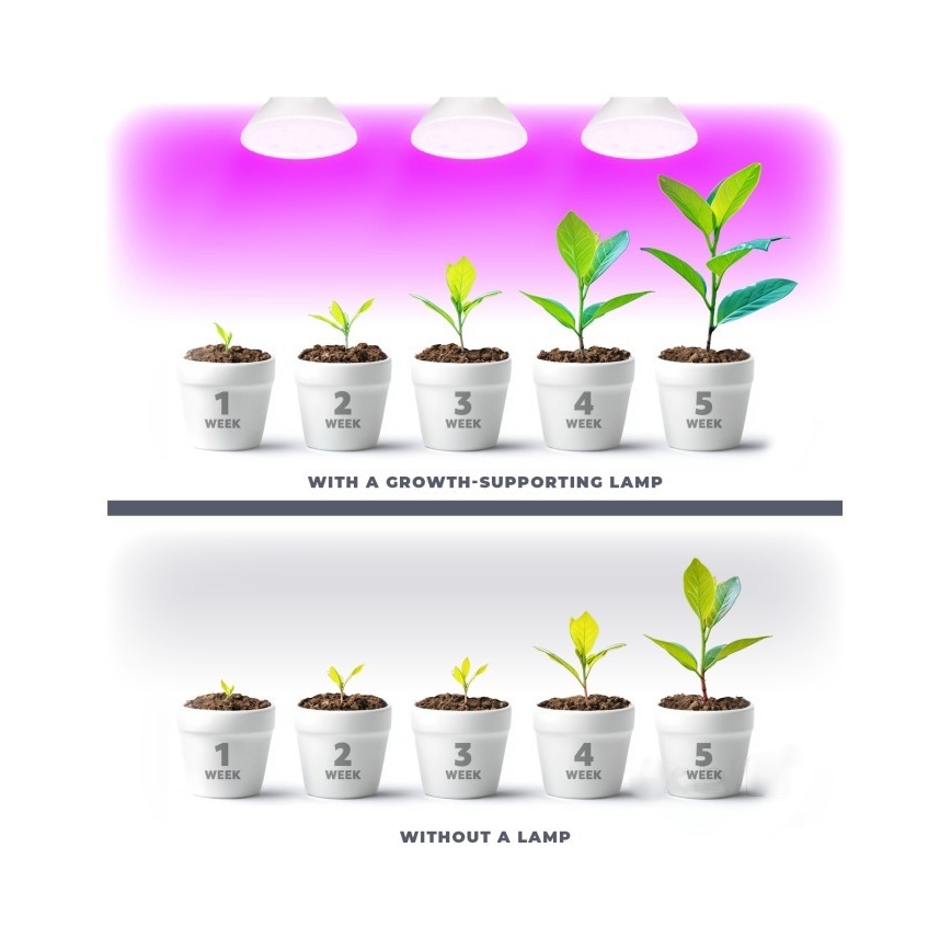 LED Plantengroeilamp PLANTY E27/7W/230V 1200K wit