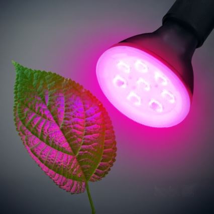 LED Plantengroeilamp PLANTY E27/7W/230V 1200K zwart