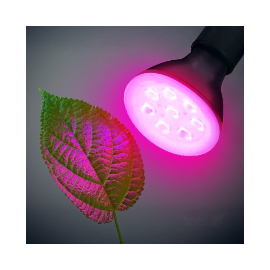 LED Plantengroeilamp PLANTY E27/7W/230V 1200K zwart