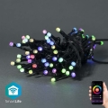 LED RGB buiten kerstsnoer 42xLED/8 functies 8m IP65 Wi-Fi Tuya