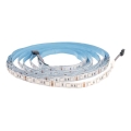 LED RGB dimbare strip DAISY 5m