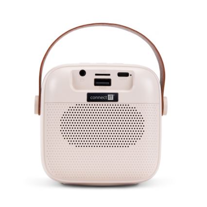 CONNECT IT CSP-1010-BG - LED RGB-luidspreker met 2 draadloze microfoons, 5 W / 1200 mAh + 2×400 mAh, crème/goud