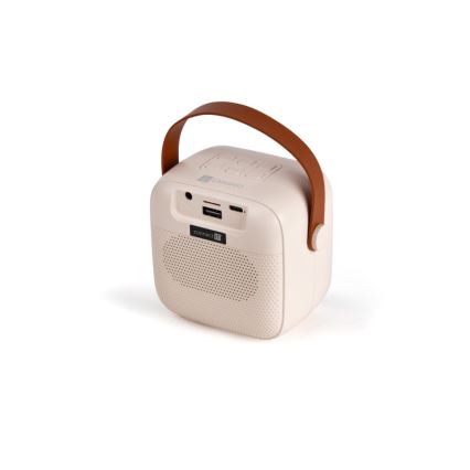 CONNECT IT CSP-1010-BG - LED RGB-luidspreker met 2 draadloze microfoons, 5 W / 1200 mAh + 2×400 mAh, crème/goud