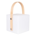 LED RGBW Buitenlamp MAJORKA LED/0,5W/5V USB 1200 mAh IP44 wit