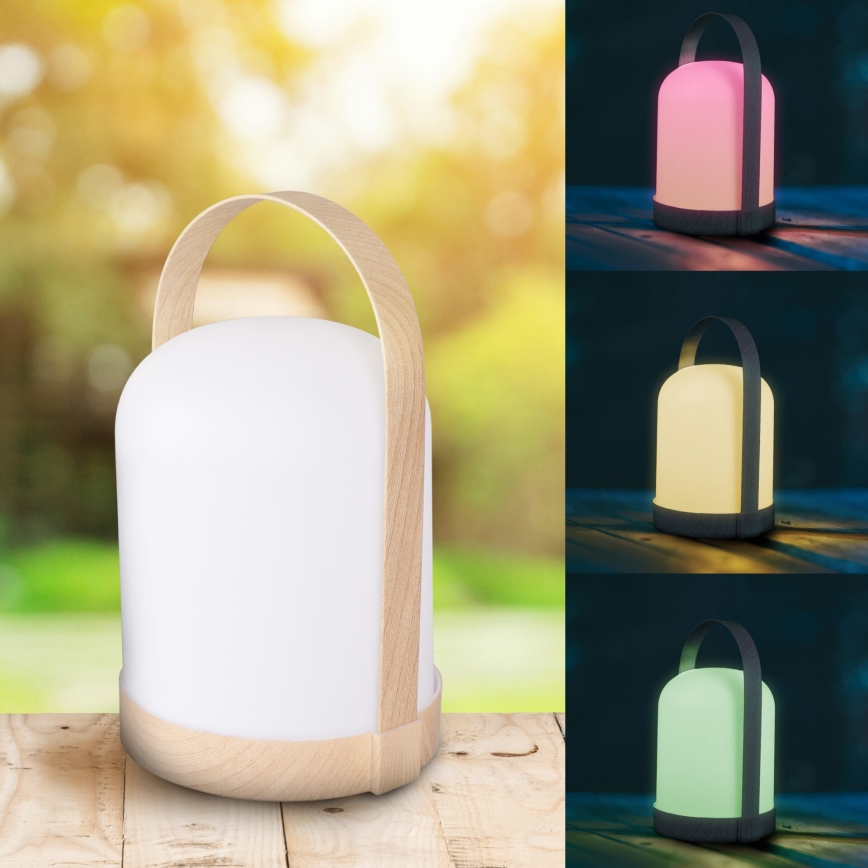 LED RGBW decoratieve tafellamp MINORKA LED/0,3W/4,5V 3xAA