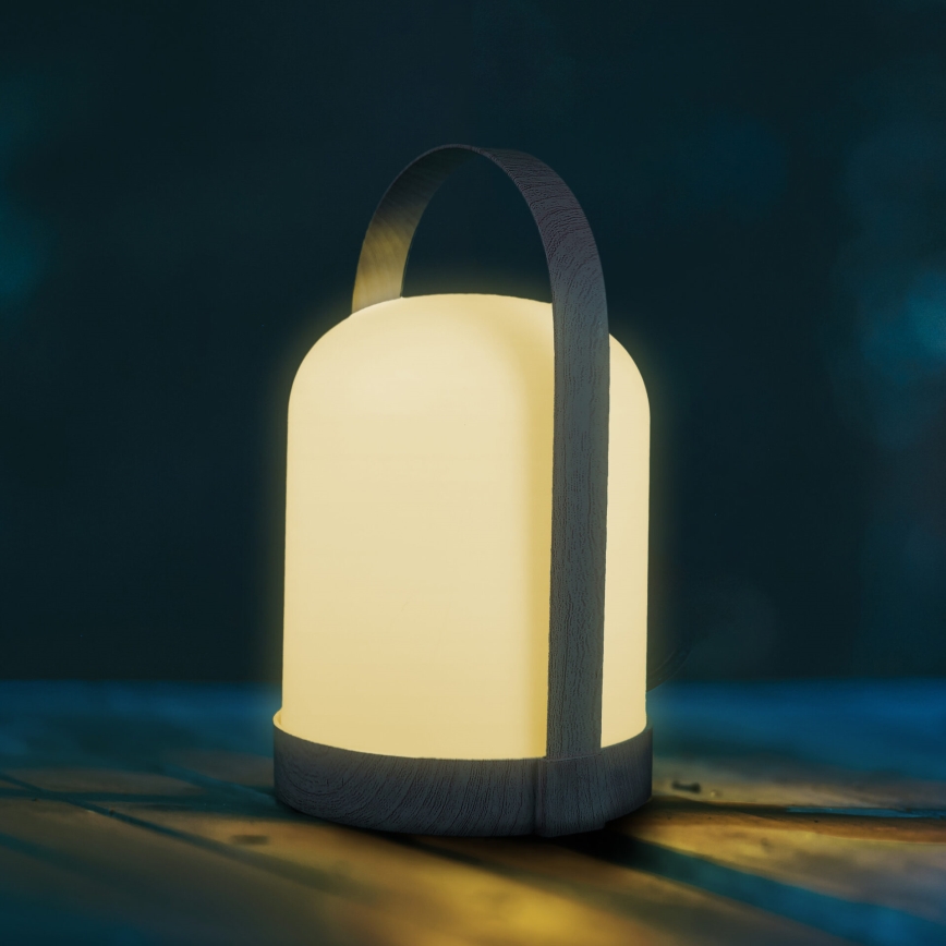 LED RGBW decoratieve tafellamp MINORKA LED/0,3W/4,5V 3xAA