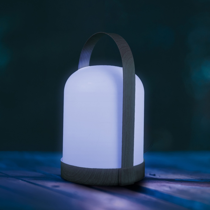 LED RGBW decoratieve tafellamp MINORKA LED/0,3W/4,5V 3xAA